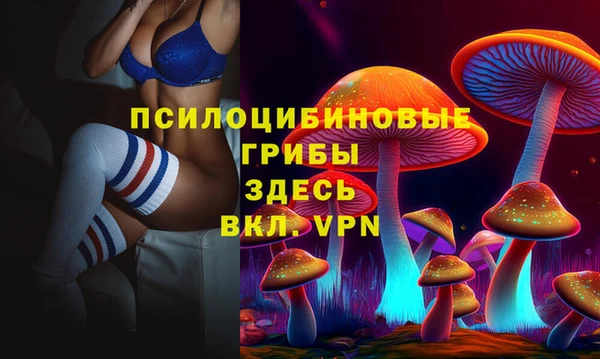 a pvp Новозыбков